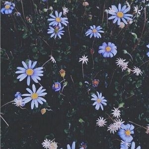 Meet your Posher, Aisha